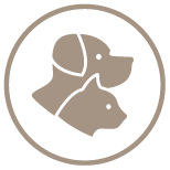 Kiasallat-Pets-HotelDelibab