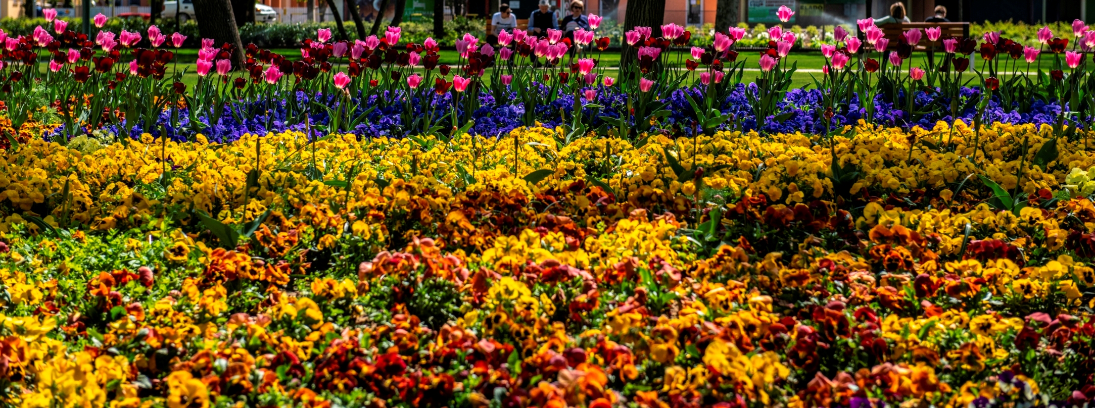 Hajduszoboszlo-Programok-HotelDelibab